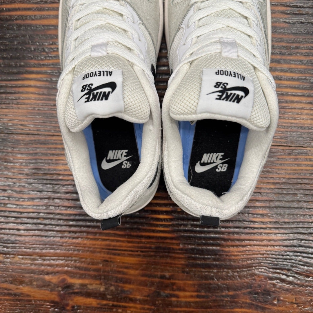 CS4224 - NIKE ALEYOOP GREY - 37,5