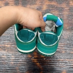 DU312 - DUNK LOW DISRUPT 2 MALACHITE FB - 37.5