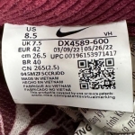 T826DU6 - DUNK SB LOW X SKATE LIKE A GIRL LN FB - 42