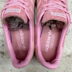 T926CS106 - ADIDAS BERMUDA GLOW PINK - 41