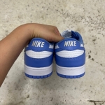 1026DU11 - DUNK LOW POLAR BLUE LN - 44