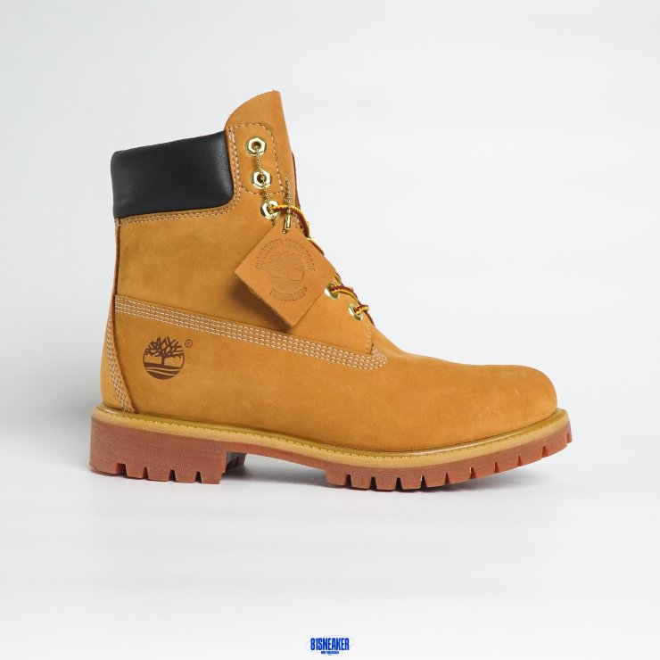 cs3396 - Timberland Premium 6 Inch DS - 47.5